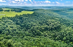 Dabney lot: 0, Jerusalem, AR 72080