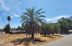 Shrier, Lake Elsinore, CA 92530
