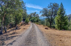 12431 Elk Mountain Road, Upper Lake, CA 95485