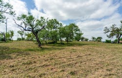 504 Vernon Avenue, Llano, TX 78643