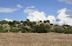 221 CR 250, Star, TX 76880