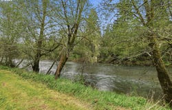 82320 BAY Rd, Elsie, OR 97138