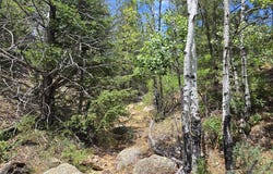 TBD L Bird Point Dr, Cotopaxi, CO 81223