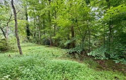 4824 Flakes Mill Road, Ellenwood, GA 30294