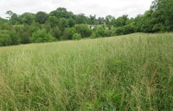Dewitt Road, Moores Hill, IN 47032