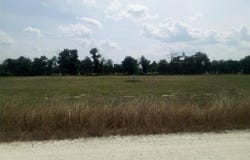 Pr 1311, Centerville, TX 75833