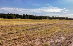 Three Quarter Loop lot: 39, Poolville, TX 76487