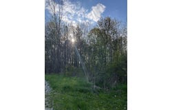 Fox Ridge 1-A Lane, Allenton, MI 48002
