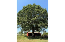 20602 County Road 1000, St James, MO 65559