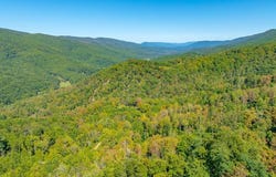 Wolf Creek Road, Narrows, VA 24124