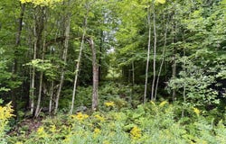 Dann Road, Saranac, NY 12981