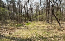 Milligan Campground Road, Strawberry, AR 72469