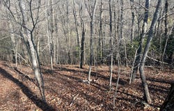 Reserve Rd lot: 36, Franklin, NC 28734