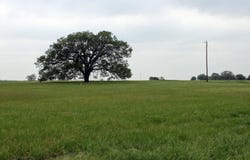 Brushy Branch Rd, Lockhart, TX 78644