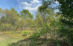 CRESTVIEW DRIVE, CADILLAC, MI 49601