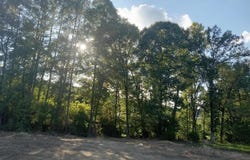 139 STELLA LOCKARD Rd, Cordova, AL 35550