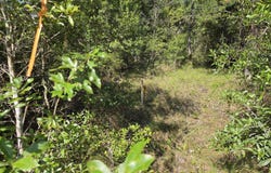 Quail Ridge Drive, Chipley, FL 32428