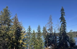 NNA Hwy 97, Harrison, ID 83833