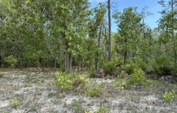 DONOVAN Avenue, Interlachen, FL 32148