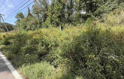 E Mud River Road, Milton, WV 25541