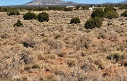 2622 Parker Drive, Williams, AZ 86046