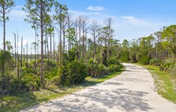 SW 153rd Ter, Cedar Key, FL 32625