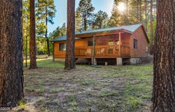 8 2065, Alpine, AZ 85920