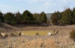 Highway M, Cabool, MO 65689