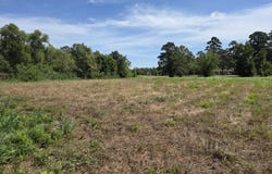 Stanislaus Street lot: 019, Eunice, LA 70535