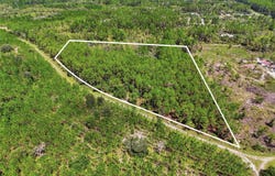 SE 51 Way, TRENTON, FL 32693