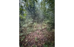 Morrison Creek Road, Iron River, MI 49935