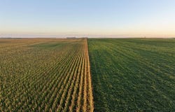 Xircus Avenue, Williams, IA 50271