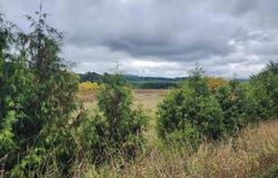 19326 Alsea Highway, Alsea, OR 97324