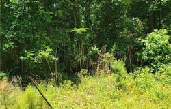 Spring Hill Drive, Covington, GA 30016