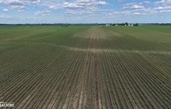 21079 1st Ave, Durant, IA 52747