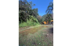 Cedro Abajo, Naranjito, PR 00719