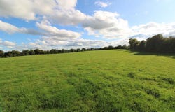 LOT 2, Clooninihy, Ballinderry, Nenagh,