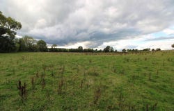 LOT 4 Killea, Ballinderry, Nenagh,