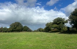 Gaulstown, Drumree,