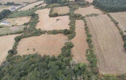 Lands Miltown, Graiguenmanagh, Borris, Borris,
