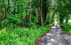 Lands, Rossarrell, Glaslough,