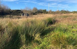 Tullycleave More, Co., Ardara,