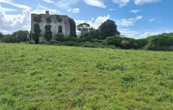 Kilmallock, Grange, V35EE33