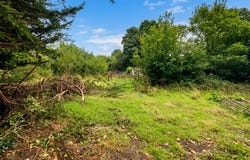 Ervallagh, Ahascragh, H53FK88