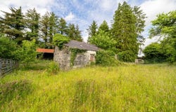 Castlebar, Turlough,