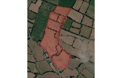 Ballydonnell, Mullinahone,
