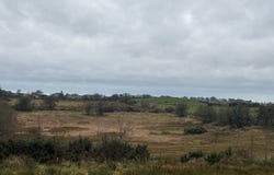 Island, Ballyhaunis,