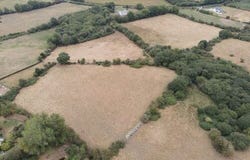 Lands Miltown, Graiguenmanagh, Borris, Borris,