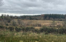 Island, Ballyhaunis,