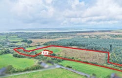 Fleanmore, Ballyhahill,